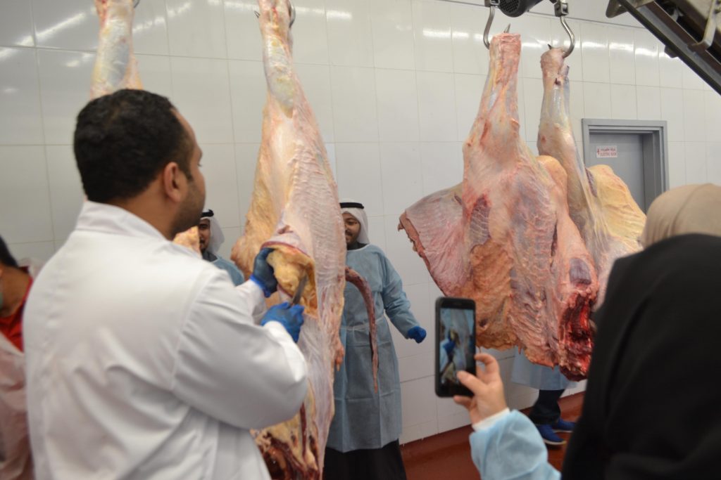 سلامة اللحوم مسالخ الكويت