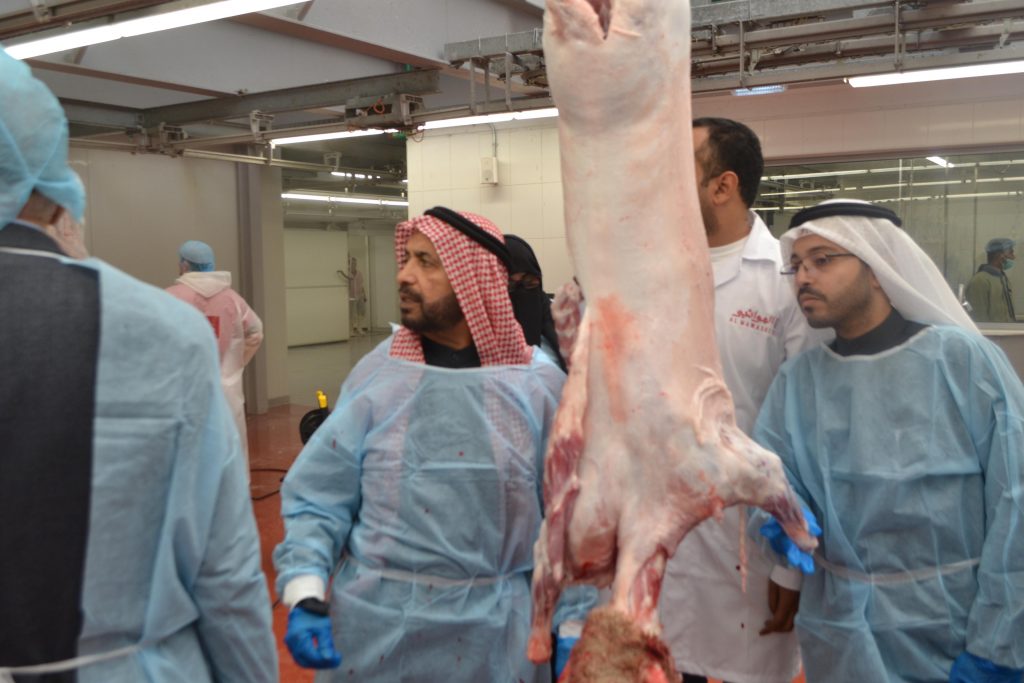 جودة وسلامة اللحوم مسالخ الكويت
